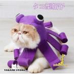  домашнее животное шляпа Halloween костюмы аксессуары кошка шляпа преображение надеты Halloween товары 