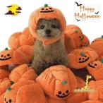 домашнее животное шляпа собака кошка для костюмированная игра Halloween тыква украшение домашнее животное одежда костюмированная игра менять оборудование симпатичный модный легкий party память день костюмированная игра фотография фотосъемка 