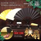 扇子 鉄扇 護身扇 ファン うちわ 一尺 ブラック 黒鉄扇 金鉄扇 白鉄扇 重厚感 鉄扇子 護身 持ち歩き 贈り物 TSEN-30-BK
