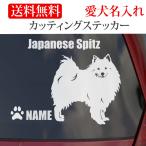 Япония Spitz стикер Spitz разрезные наклейки название машины ввод 