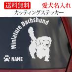  миниатюра Dux fndo стикер Dux fndo разрезные наклейки передний круглый знак название машины ввод 