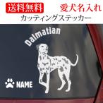 ダルメシアン ステッカー カッティングステッカー 円形文字 車 名入り
