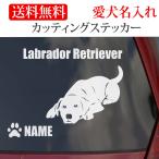  Rav Rado ruretoli балка стикер Rav Rado ru разрезные наклейки название машины ввод 