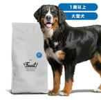 ショッピング犬 INUMESHI　フィースト　1歳以上　大型犬用　15kg　ブリーダーパック