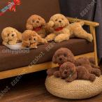  мягкая игрушка собака .. игрушка пудель животное животное one Chan кукла подлинный товар целиком настоящий домашнее животное собака игрушка симпатичный подарок смешанные товары подарок e-s ta-