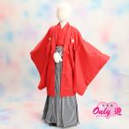  Junior ансамбль hakama комплект / мужчина /Kato/13-449KT/83-745BN/ 10 лет. праздник ./ 10 три три ./ начальная школа церемония окончания / в аренду / бренд / перо тканый / красный / hakama / натуральный шелк / синий .