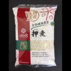  вдавлено пшеница. ...800g