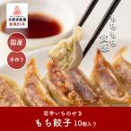 岩手県 一関市 もち餃子 冷凍 冷凍餃子 10個 ギョウザ おすすめ ぎょうざ もち 人気 ギフト 手作り もち 中華総菜 惣菜 おつまみ おかず お取り寄せ 本格餃子