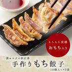 10個入り2袋セット 岩手県 一関市 もち餃子 冷凍 冷凍餃子 ギョウザ おすすめ ぎょうざ 人気 ギフト 手作り もち 中華総菜 惣菜 おつまみ おかず お取り寄せ