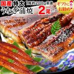 うなぎ 蒲焼き 国産 ギフト 鰻 うなぎ蒲焼き 国内産 2尾 特大(約180g〜200g前後×2尾) 宮崎・鹿児島県産 送料無料