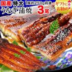 うなぎ 蒲焼き 国産 ギフト 鰻 うなぎ蒲焼き 国内産 3尾 特大(約230〜250g前後×3尾) 送料無料
