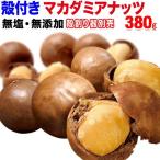 ナッツ マカダミアナッツ 380g×1袋 