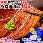 ギフト うなぎ 国産 蒲焼き 鰻 国産うなぎ蒲焼き 10尾 特大(約180〜200g前後×10尾)宮崎・鹿児島県産 送料無料