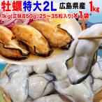 ギフト 牡蠣 かき 2L 1kg(正味850g) 広島県産 （水産物） (特産品 名物商品) (かき カキ 牡蠣)セール 広島カキ 送料無料 ポイント利用