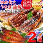 ショッピングうなぎ プレゼント 70代 80代 ギフト うなぎ 蒲焼き 国産 鰻 うなぎ蒲焼 特大 2尾(1尾約230〜250g前後) セール 60代 九州産 送料無料