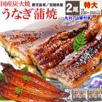 父の日・母の日 ギフト うなぎ 蒲焼き 国産 鰻 うなぎ蒲焼き 九州産 特大 2尾 (1尾約230〜250g前後) 送料無料 グルメ 魚介 魚 ポイント利用