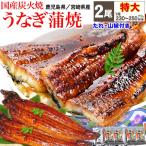 ショッピングうなぎ 蒲焼き 国内産 送料無料 ギフト うなぎ 蒲焼き 国産 鰻 うなぎ蒲焼き 九州産 特大 2尾 (1尾約230〜250g前後) 送料無料 グルメ 魚介 魚