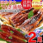 ショッピングうなぎ 蒲焼き 国内産 送料無料 ギフト うなぎ 蒲焼き 国産 鰻 うなぎ蒲焼き 九州産 2尾 特大(約180〜200g前後×2尾)鰻 送料無料 グルメ 魚介 魚