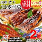 父の日・母の日 ギフト うなぎ 蒲焼き 国産 鰻 うなぎ蒲焼き 九州産 2尾 特大(約180g〜200g前後×2尾)鰻 宮崎・鹿児島県産 送料無料 ポイント利用