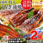 ギフト うなぎ 蒲焼き 国産 鰻 うなぎ蒲焼き 九州産 2尾 特大(約180g〜200g前後×2尾)鰻 宮崎・鹿児島県産 送料無料