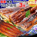 ショッピングうなぎ 蒲焼き 国内産 送料無料 ギフト うなぎ 蒲焼き 国産 鰻 うなぎ蒲焼き 九州産 3尾 特大(約230〜250g前後×3尾) 送料無料