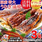 ショッピングうなぎ 蒲焼き 国内産 送料無料 ギフト うなぎ 蒲焼き 国産 鰻 うなぎ蒲焼き 九州産 3尾 特大(約230〜250g前後×3尾) 送料無料