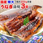 ギフト うなぎ 蒲焼き 国産 鰻 うなぎ蒲焼き 九州産 3尾 特大(約180〜200g前後×3尾)宮崎・鹿児島県産 送料無料