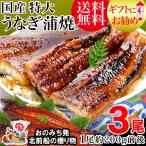 ギフト 70代 うなぎ 蒲焼き 国産 ギフト 鰻 うなぎ蒲焼 九州産 3尾 特大(約180〜200g前後×3尾)宮崎・鹿児島県産 送料無料