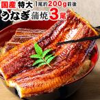 ショッピングうなぎ 蒲焼き 国内産 送料無料 ギフト うなぎ 蒲焼き 国産 鰻 うなぎ蒲焼き 九州産 3尾 特大(約180〜200g前後×3尾)宮崎・鹿児島県産 送料無料