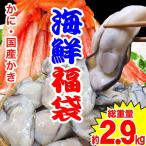 ショッピングカニ福袋 海鮮福袋 かに足80本（約920g前後）・広島牡蠣 約2kg(正味850g×2袋) 2種セット 総重量2.9kg 送料無料