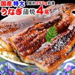 ショッピングうなぎ 蒲焼き 国内産 送料無料 ギフト うなぎ 蒲焼き 国産 鰻 うなぎ蒲焼 セール 九州産 4尾 特大(約250g前後×4尾)60代 70代 80代 宮崎・鹿児島県産