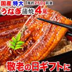 ショッピングうなぎ 国産 ギフト うなぎ 蒲焼き 国産 鰻 うなぎ蒲焼 セール 九州産 4尾 特大(約250g前後×4尾)60代 70代 80代 宮崎・鹿児島県産