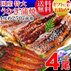 ショッピングうなぎ 蒲焼き 国内産 送料無料 ギフト うなぎ 蒲焼き 国産 鰻 うなぎ蒲焼 セール 九州産 4尾 特大(約250g前後×4尾)60代 70代 80代 宮崎・鹿児島県産