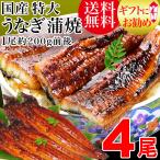 ショッピングうなぎ ギフト うなぎ 蒲焼き 国産 鰻 うなぎ蒲焼き 九州産 4尾 特大(約180〜200g前後×4尾)宮崎・鹿児島県産 セール 送料無料