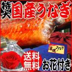 ギフト うなぎ 蒲焼き 国産 鰻 うなぎ蒲焼き 九州産 1尾 特大(約230〜250g前後×1尾) お花付き ポイント利用