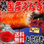 ショッピングうなぎ 蒲焼き 国内産 送料無料 ギフト うなぎ 蒲焼き 国産 鰻 うなぎ蒲焼き 九州産 1尾 特大(約230〜250g前後×1尾) お花付き