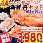 海鮮丼 かに・いか・サーモン 3種セット 合計1.4キロ!(約12人〜14人前)訳あり 送料無料