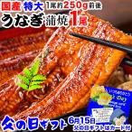 父の日・母の日 ギフト うなぎ 蒲焼き 国産 鰻 うなぎ蒲焼き 九州産 1尾 特大(約230〜250g前後×1尾)宮崎・鹿児島県産 送料1300円です ポイント利用