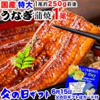 父の日・母の日 ギフト うなぎ 蒲焼き 国産 鰻 うなぎ蒲焼き 九州産 1尾 特大(約230〜250g前後×1尾)宮崎・鹿児島県産 送料1300円です ポイント利用