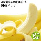  Ooita префектура производство культивирование период средний пестициды не использование другой префектура горячие источники banana S размер примерно 750g(5шт.@) внутренний производство фрукты прямая поставка от производителя .. для шт упаковка другой префектура горячие источники фрукты ферма 