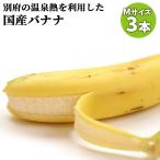  Ooita префектура производство культивирование период средний пестициды не использование другой префектура горячие источники banana M размер примерно 600g(3шт.@) внутренний производство фрукты прямая поставка от производителя .. для шт упаковка другой префектура горячие источники фрукты ферма 
