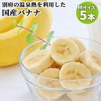  Ooita префектура производство культивирование период средний пестициды не использование другой префектура горячие источники banana M размер примерно 1000g(5шт.@) внутренний производство фрукты прямая поставка от производителя .. для шт упаковка другой префектура горячие источники фрукты ферма 
