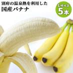  Ooita префектура производство культивирование период средний пестициды не использование другой префектура горячие источники banana L размер примерно 1250g(5шт.@) внутренний производство фрукты прямая поставка от производителя .. для шт упаковка другой префектура горячие источники фрукты ферма 