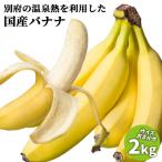 大分県産 栽培期間中農薬不使用 別府温泉バナナ サイズ不揃い 約2kg 国内産 フルーツ ご自宅用簡易包装 別府温泉フルーツファーム 送料込