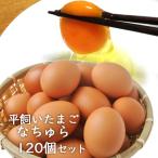  flat .. яйцо ....10 штук входит ×12 упаковка всего 120 шт (100 шт + гарантия минут 20 шт ) Ooita префектура производство kajiwala ферма бесплатная доставка 