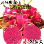  Ooita префектура производство питахайя красный . мясо 3 шт . пестициды культивирование дерево дверь сельское хозяйство ... город производство местного производства красный мясо . включая доставку 