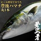 大分県佐伯市産 ビール酵母で育て