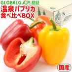  горячие источники .. практическое применение делать культивирование сделал Ooita префектура производство горячие источники паприка еда . сравнение BOX( паприка M~L 4 шар / Mini паприка 4шт.@/ паприка суп 4 еда ) love . ферма 9 -слойный 