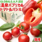  горячие источники паприка &amp; помидор &amp; базилик ( паприка 2 шар / помидор 250g/ базилик 20g/ Mini паприка 4шт.@/ паприка суп 4 еда ) love . ферма 9 -слойный 