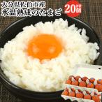  яйцо. здравый смысл . меняется flat .. лед температура .. красный курица. Tama . желтый .10 штук ×2 упаковка ( всего 20 шт ) комплект местного производства Kyushu производство Ooita префектура производство рефрижератор изначальный san сельское хозяйство . море 9 